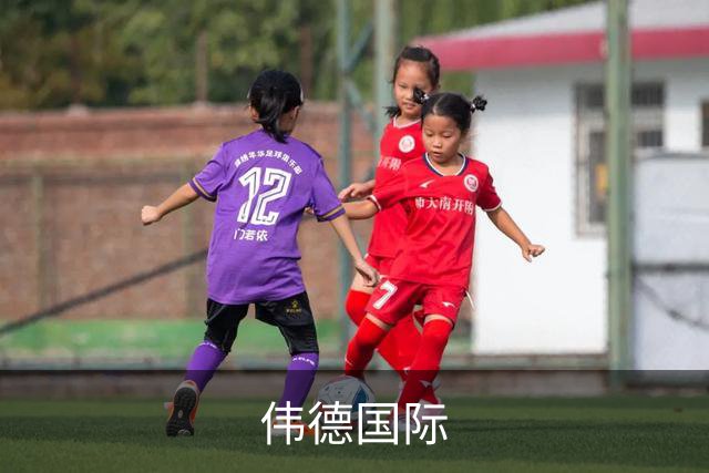 伟德国际公司简介图片